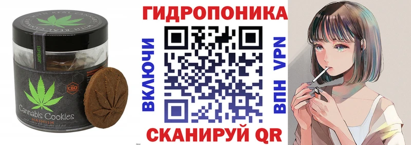 ОМГ ОМГ ТОР  Дальнереченск  Canna-Cookies конопля 