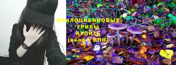 крисы Пестово
