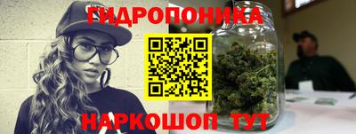 jwh Гусь-Хрустальный