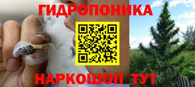 jwh Гусь-Хрустальный