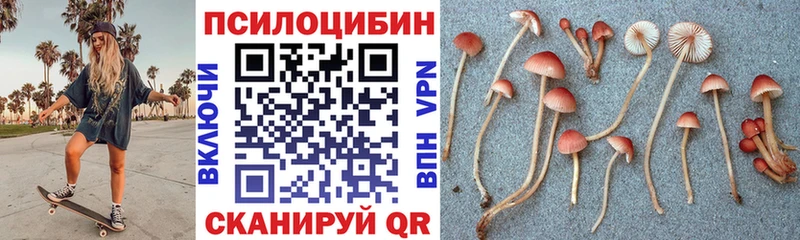 Псилоцибиновые грибы ЛСД Дальнереченск