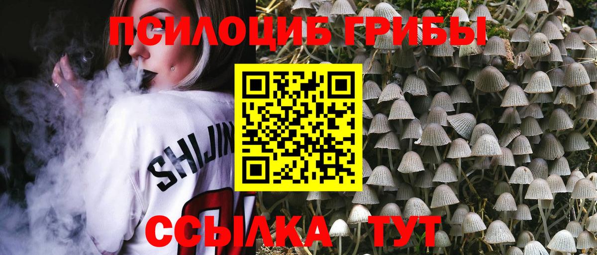 Псилоцибиновые грибы Magic Shrooms  Дальнереченск 