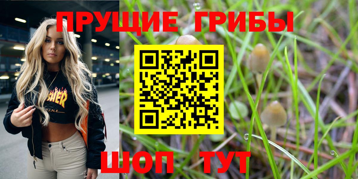 Псилоцибиновые грибы ЛСД  Вход с VPN  Дальнереченск  Галлюциногенные грибы Psilocybine cubensis 