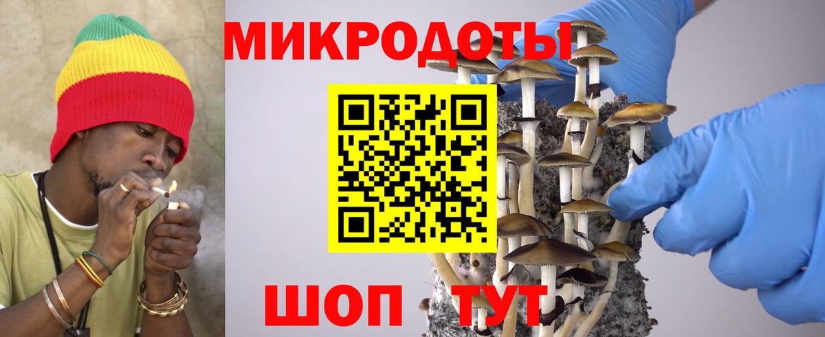Галлюциногенные грибы GOLDEN TEACHER Дальнереченск